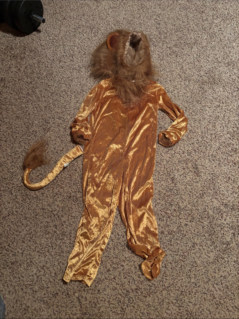 Lion Costume